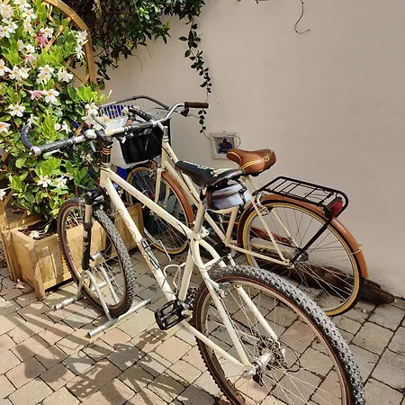 Stella Marina A 100 Mt Dal Mare Διαμέρισμα